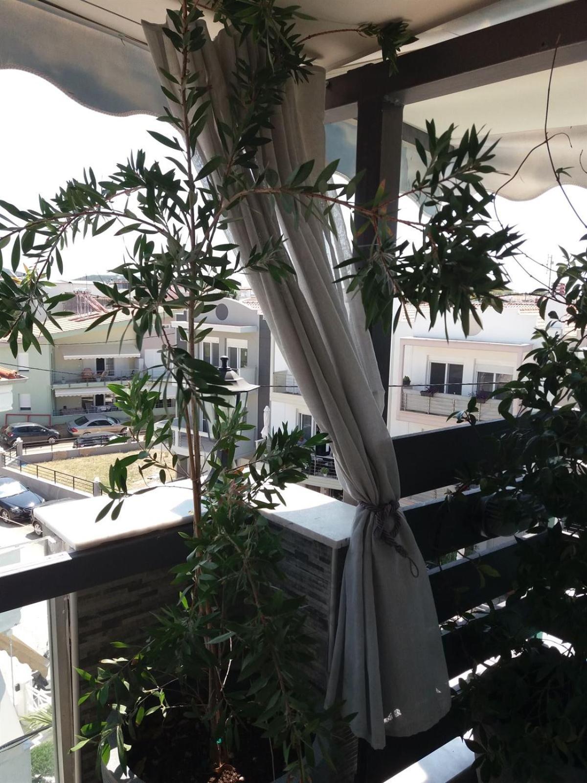 Green House Néa Péramos Zewnętrze zdjęcie