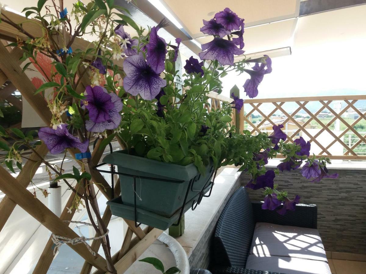 Green House Néa Péramos Zewnętrze zdjęcie